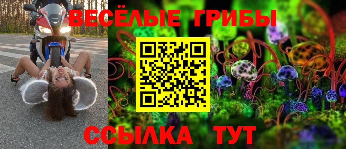Галлюциногенные грибы мицелий  Вход с VPN  Нарьян-Мар 